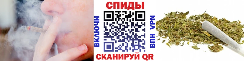 Бутират буратино  Ахтырский 