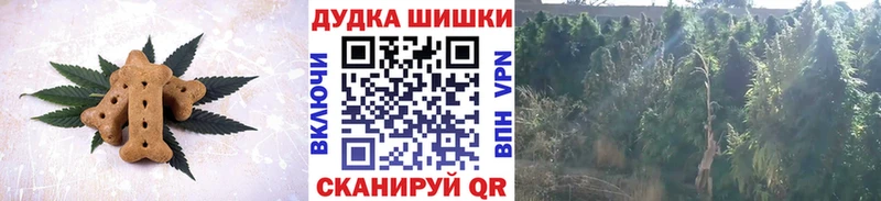 Cannafood конопля ОМГ ОМГ ТОР Ахтырский закладка