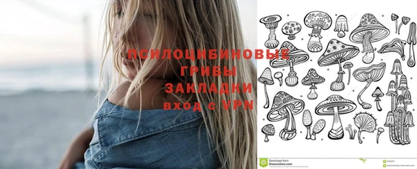стаф Армянск