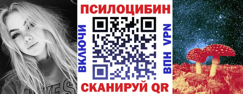 где купить наркоту  MEGA как зайти  Псилоцибиновые грибы прущие грибы  Ахтырский 